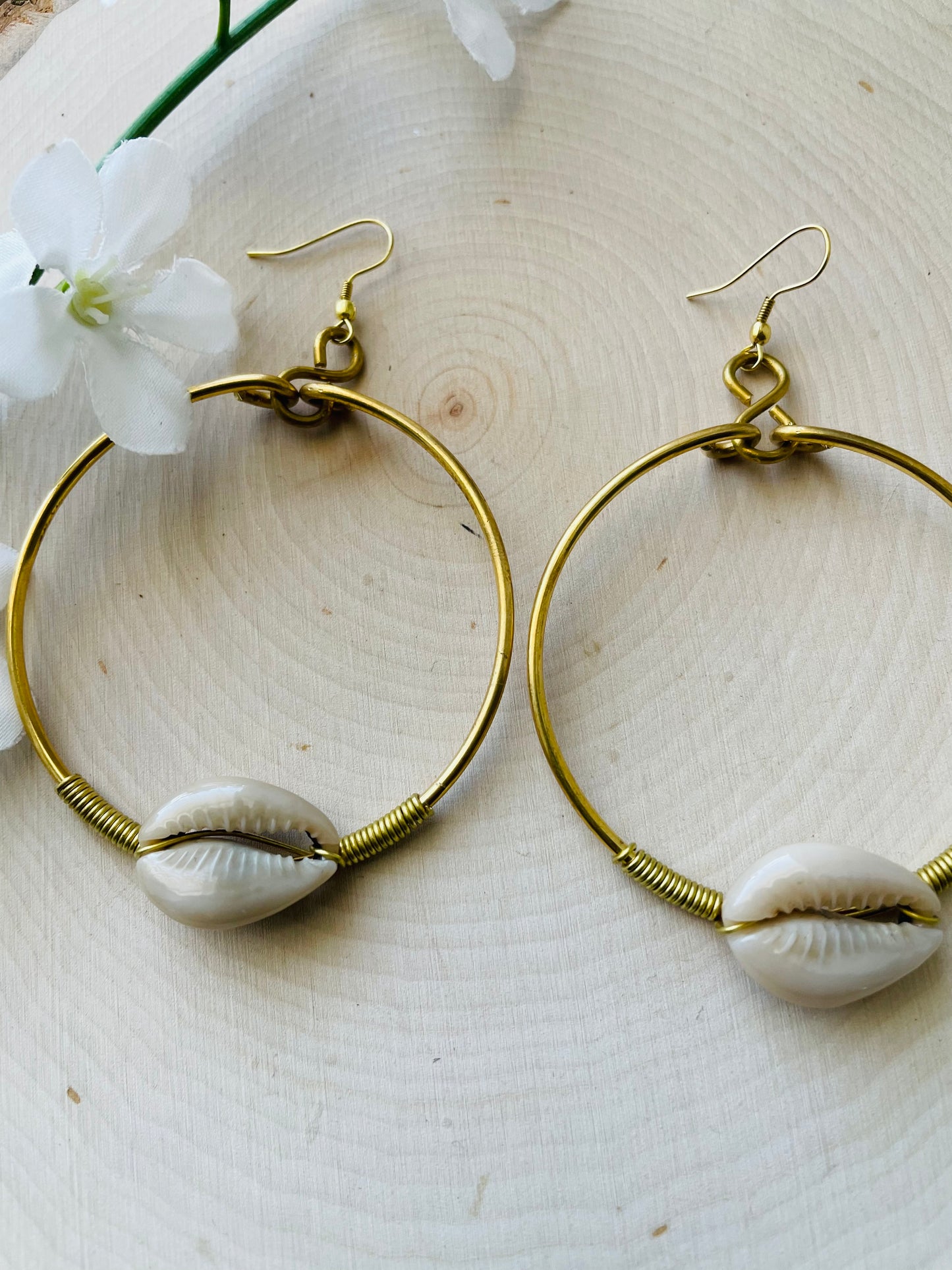 Cowrie Hoop Earrings